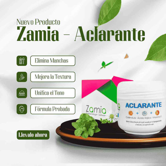 Zamia - Aclarante